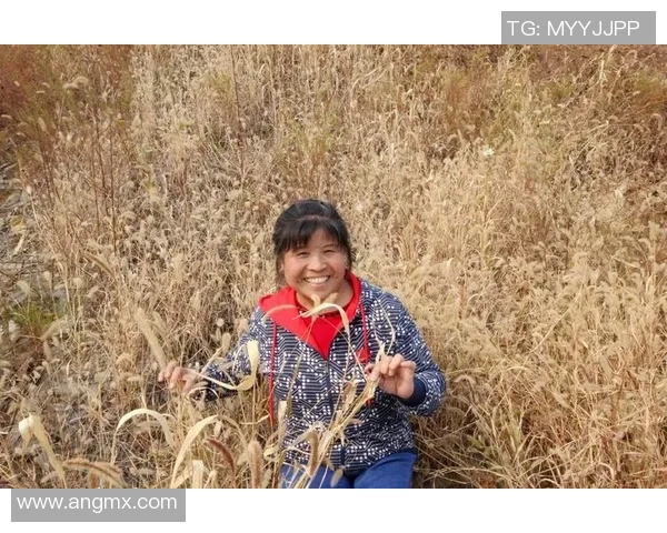 《球星足球大师全方位指南：从新手到顶尖球员的成长之路》