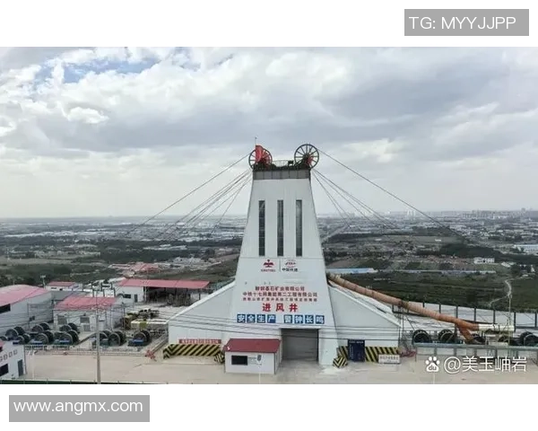 足球星卡价格走势深度解析及收藏投资价值全面观察